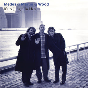 Medeski,Martin & Wood - It’s a Jungle