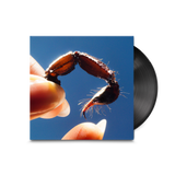 Squid - Cowards