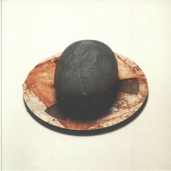 Erland Cooper - Carve The Runes Then Be Content With Silence