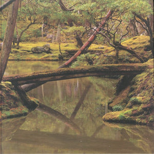 Rebecca Foon & Alitya Foon-Dancoes - Reverie