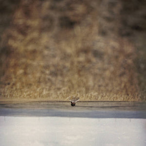 Soundtrack - Jim O'Rourke - Hands That Bind