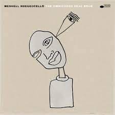 Meshell Ndegeocello - The Omnichord Real Book