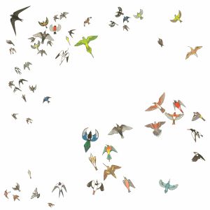 Modern Nature - No Fixed Point in Space
