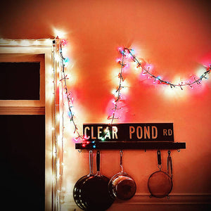 Kristen Hersh - Clear Pond Road