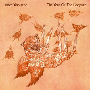 James Yorkston - The Year of The Leopard