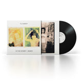PJ Harvey - Is This Desire?  Demos