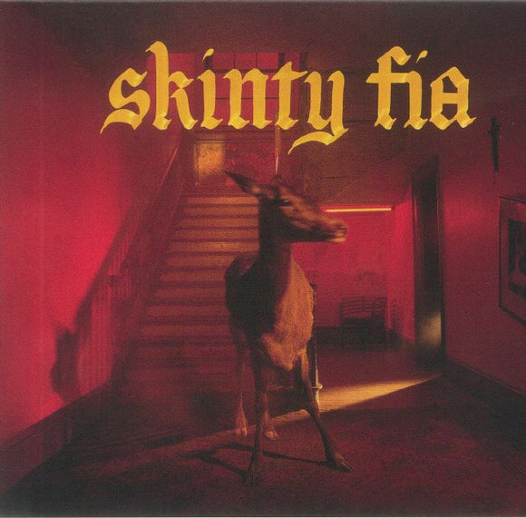 Fontaines D.C. - Skinty Fia